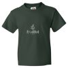 HD Cotton Youth T-Shirt Thumbnail